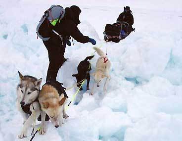 ������� ������� �� ���������� ������� II �������� ������� �����, ���� � ����� monaco.arctic-expedition.mc 