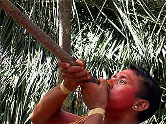 ������ ������� ������. ���� � ����� amazon-indians.org 