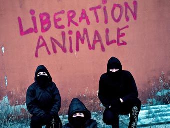 ��������� �������� Animal Liberation Front. ���� � ����� animalliberationfront.com