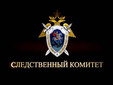 Кадр телеканала НТВ