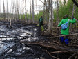 Разлив нефти в Ханты-Мансийском округе. Фото пресс-службы Greenpeace