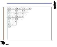 Иллюстрация заполнения матрицы при работе алгоритма выравнивания. Сравниваются геном человека и мыши.(Нажмите, чтобы увеличить)