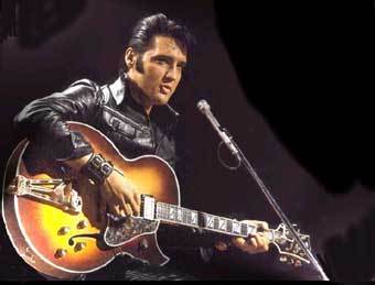  .    www.anelvisfan2001.com