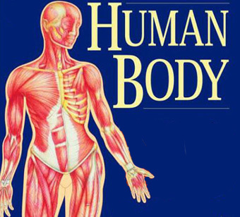 �������� � ����� http://images-jp.amazon.com