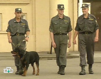 ���� ���, �����