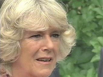 ��������� ������������, ���� ���, �����