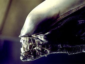 ���� �� ������ "�����", ����������� � ����� imdb.com