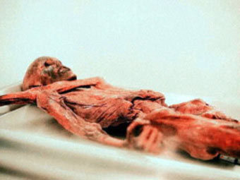 "������� �����" ����, ���� Discovery channel � ����� ����������