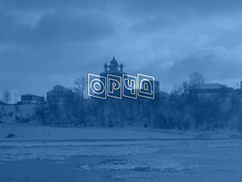 Символика "ОРЧД" 