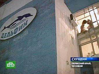 Здание бассейна "Дельфин". Кадр НТВ, архив