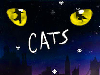    catsmusical.ru