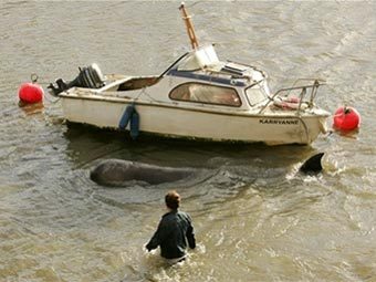 ���-���������� � �����. ���� AFP