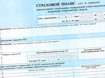 ����� �����. ����������� � ����� allinsurance.ru