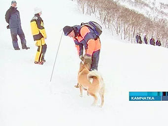 Поисково-спасательная операция на Камчатке. Кадр Первого канала 