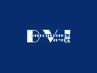  DVI Group