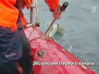 Спасатель вылавливает обломки А-320. Съемки "Первого канала" из района катастрофы 