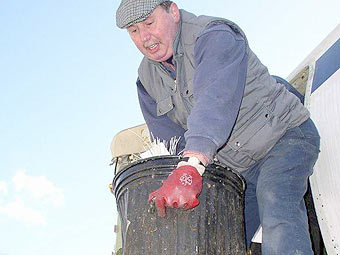 ���� � ����� concordeproject.com