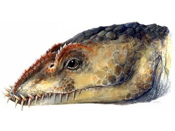 Umoonasaurus. ���� � ����� news.com.au