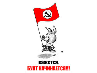 ���������� "����������". ����������� � ����� nbp-info.ru 