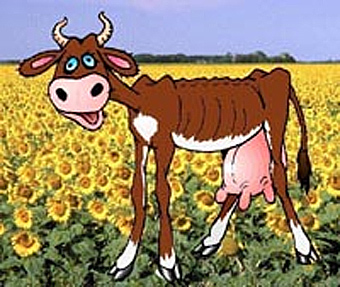 ����� ������, �������� � ����� suite101.com