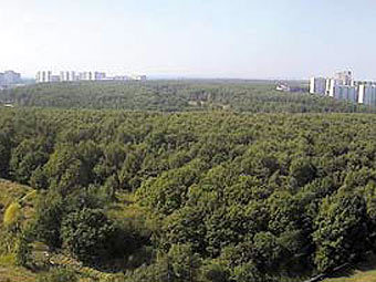 ������������ ��������. ���� � ����� zao-mos.ru