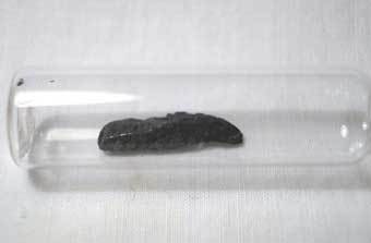 �������. ���� � ����� lispme.de
