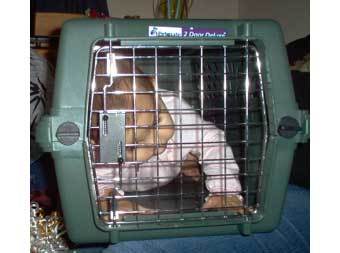 ���� � ����� babycage.net