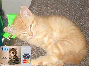������ Lenta.ru