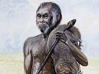 Homo floresiensis, ����������� � ����� ������ El Mundo