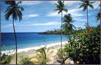 ������ ������. ���� � ����� mytobago.org
