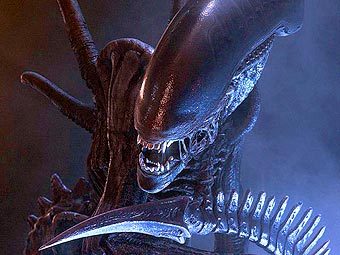 ������� � ������ "�����" � ����� rottentomatoes.com 