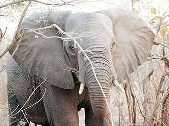 ����������� ����. ���� � ����� worldguidedtours.com