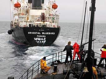 ��������� Sea Shepherd ������� �� ���������� ������. ���� � ����� seashepherd.org 