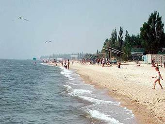 ���� �� �������� ����. ���� � ����� binarclub.ru.