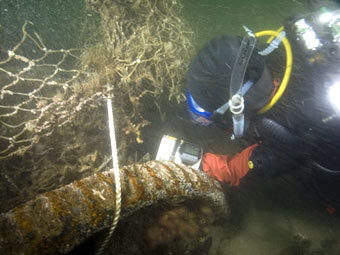 ����������� � ����� noaa.gov.