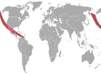 ��������� ����� ������������ ������� � ������. ����������� Wikimedia Commons. 