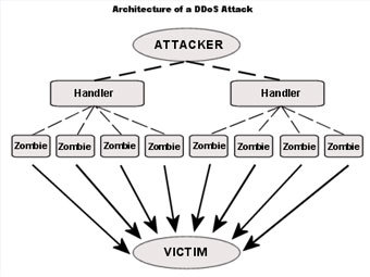 ����� DDoS-����� � ����� cs3-inc.com