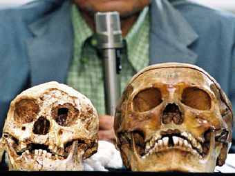 �����: ����� ���������� "�������"(Homo floresiensis), ������ - ������������ ��������. ���� AFP. 