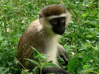 ���� � ����� borderland-tours.com