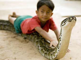 ������� � �������. ���� � ����� The Daily Telegraph 