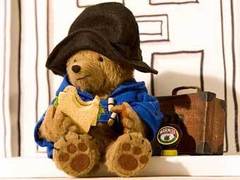 Плюшевого медвежонка записали в нелегальные мигранты