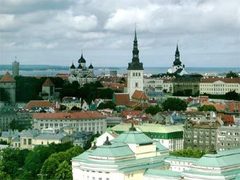 Эстония предоставила политическое убежище россиянину и белорусу