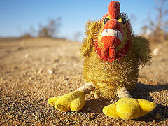 Нигерийский колдун попытался похитить мальчика с помощью волшебной курицы