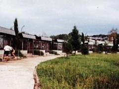 Из сочинского НИИ приматологии украли шестерых макак