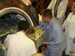 Зачатые в космосе тараканы развиваются быстрее обычных