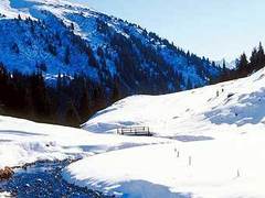 В Альпах спасли семью украинских беженцев