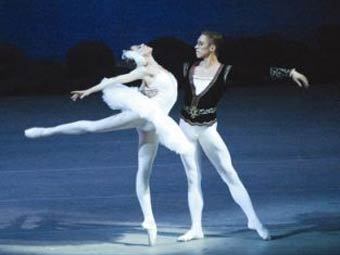   " "    .    auditoriumtheatre.org