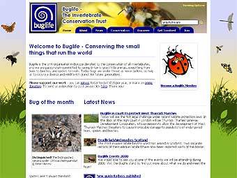     buglife.org.uk