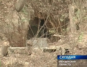 Вход в землянку сектантов, кадр НТВ