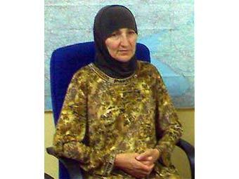  .    ajanskafkas.com